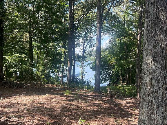 3rd image of 510 Carriage Cove Rd
