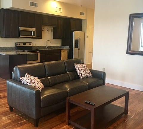 Apt in Building B (B2) Living Area, hardwood