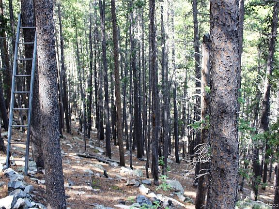 5th image of 3504 Hidden Wilderness Road