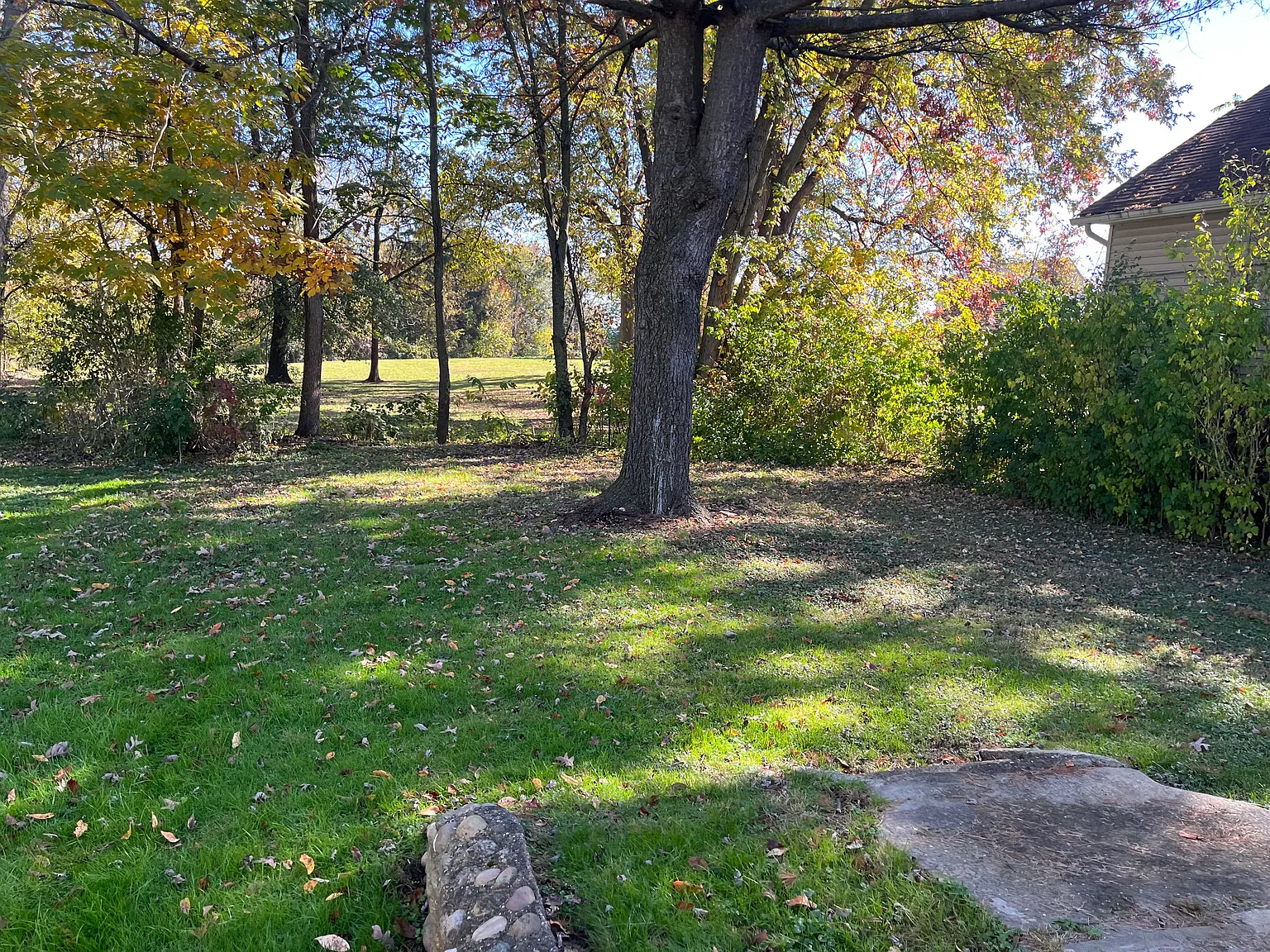 3 bed, 1200 sqft, $1,075 — Photo 3