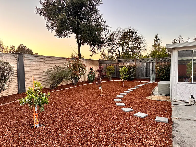Backyard with fruit trees