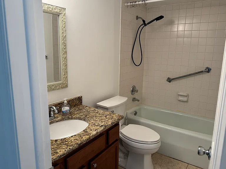 10376 Carrollwood Ln #254 — Photo 8