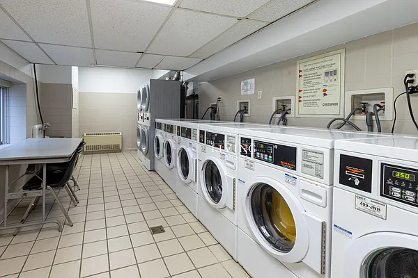 Rented by NY Living Solutions | media 7