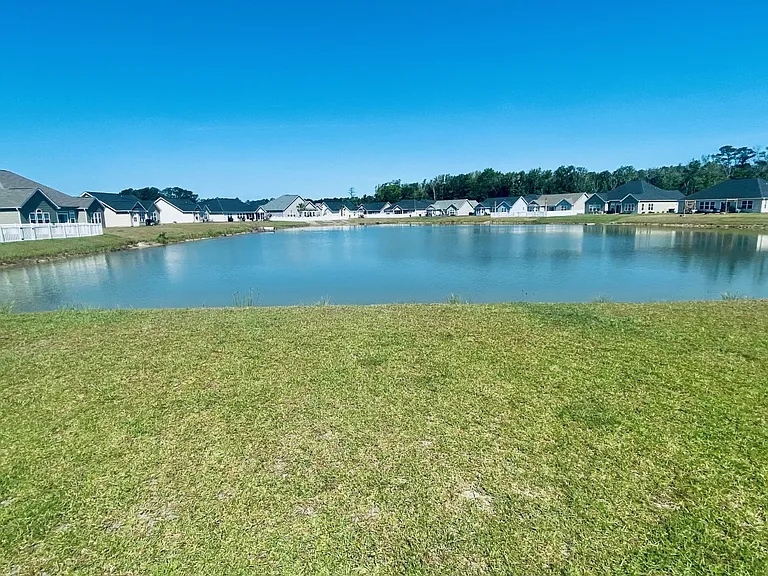 Pond View_06192023
