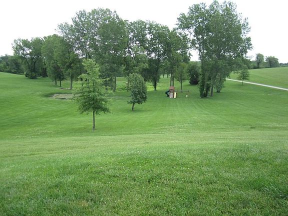 Front yard from house