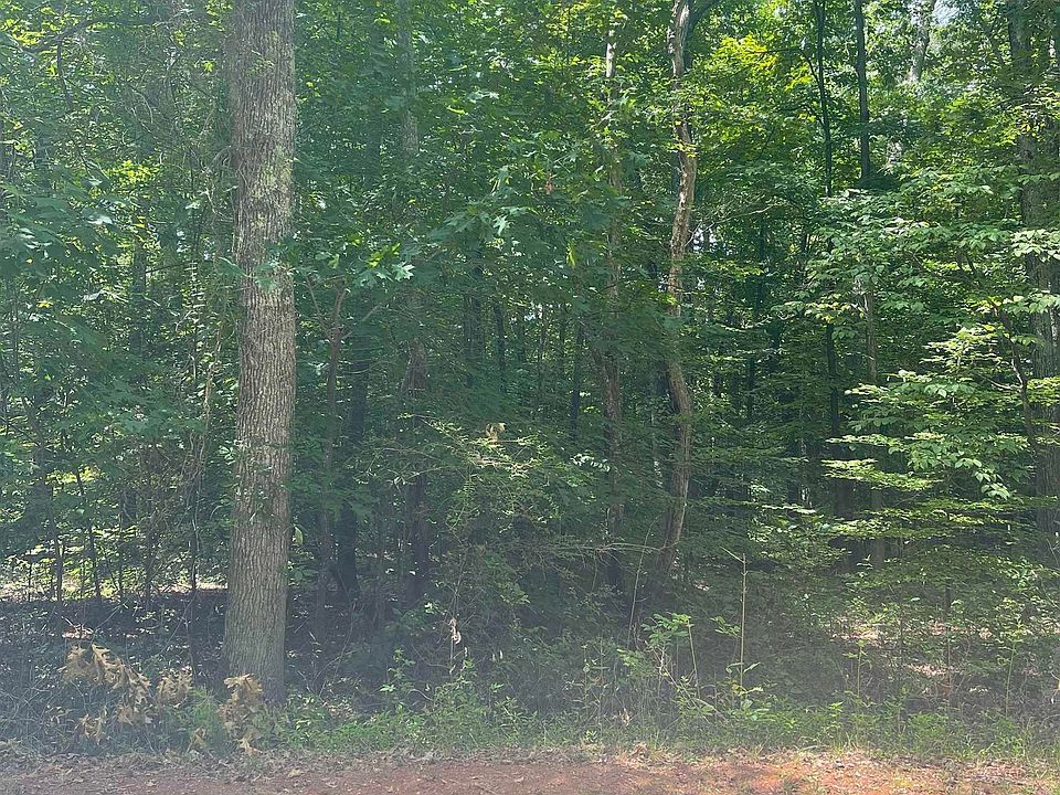 2nd image of 0 Manhattan Blvd