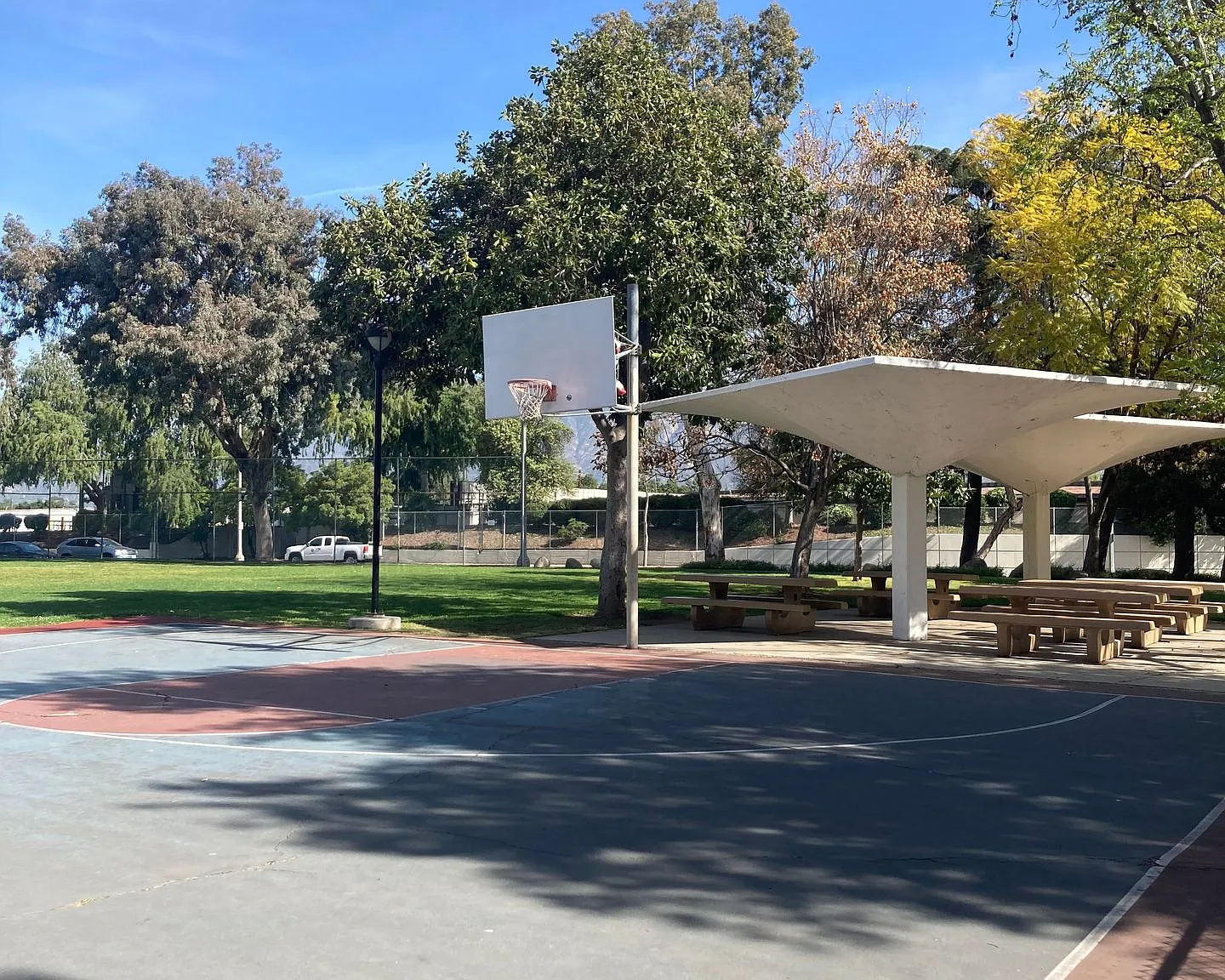 Village of Roses LLC — Photo 2