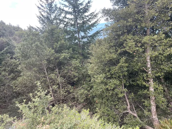 67 Atchison Ct, Whitethorn, CA 95589