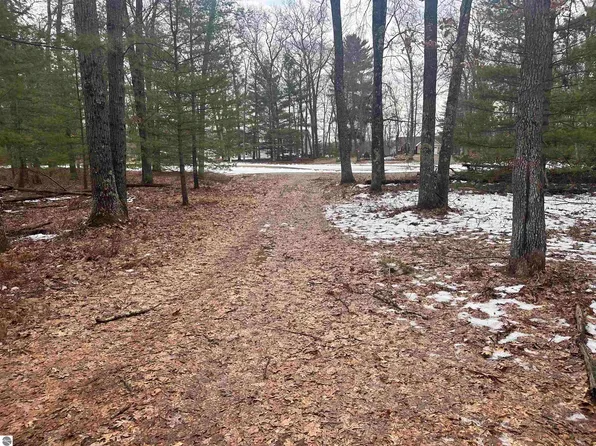 8616 W Katie Ln, Baldwin, MI 49304