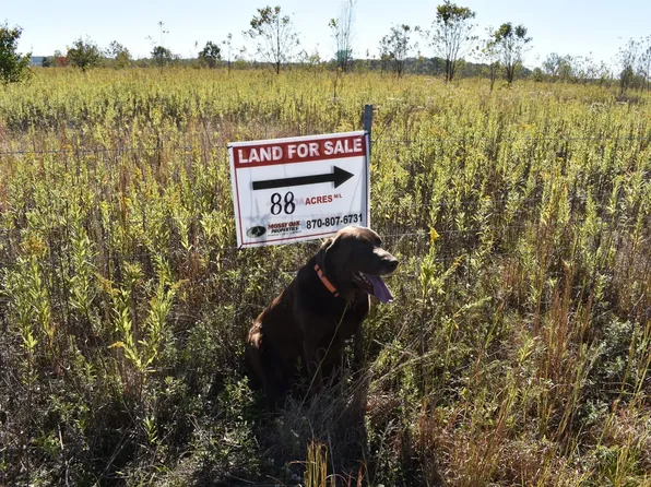 1155 Oakridge Dr, Texarkana, TX 75503