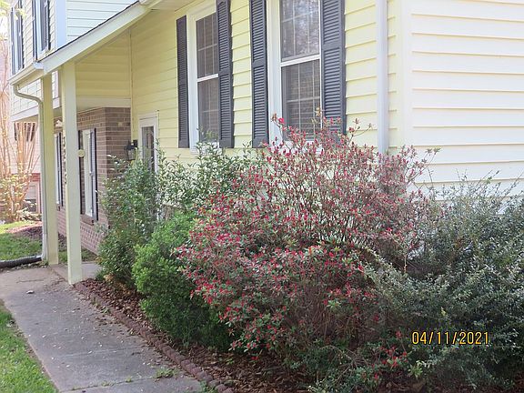 Shrubs leading to Front Door