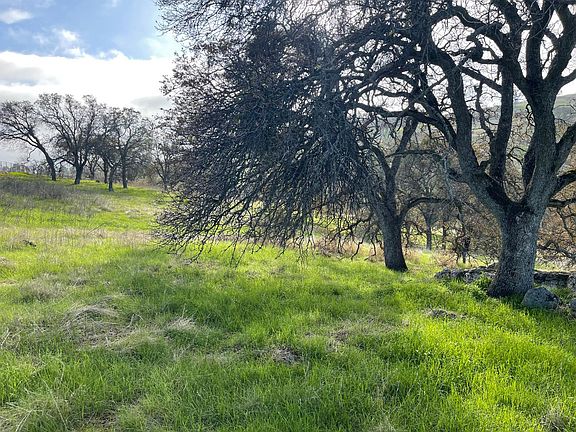 2nd image of 2672 Zelma Way