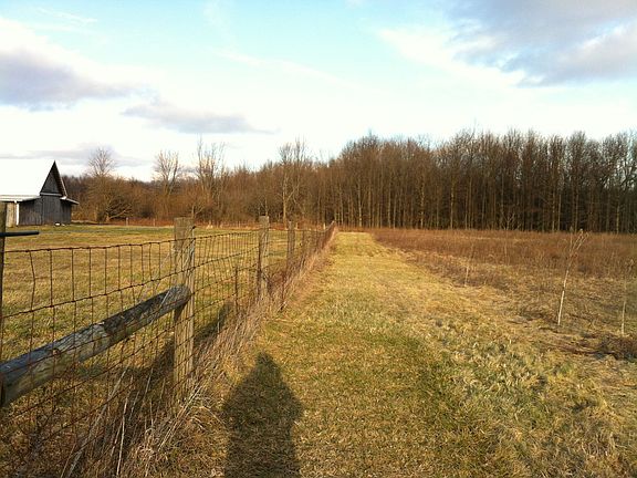 from road along fenceline