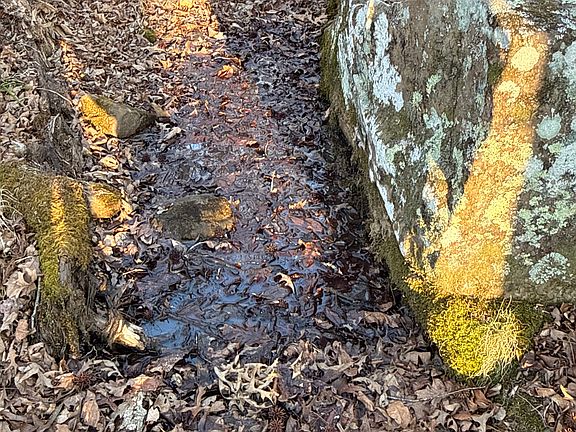 5th image of 0 Daniel Hill Rd Tract 1