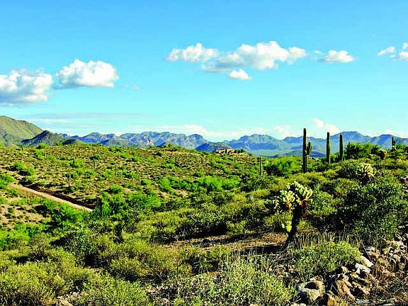 5th image of 0 N White Face Canyon Drive #15
