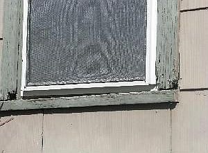 1st image of 1167 15th Ave SE