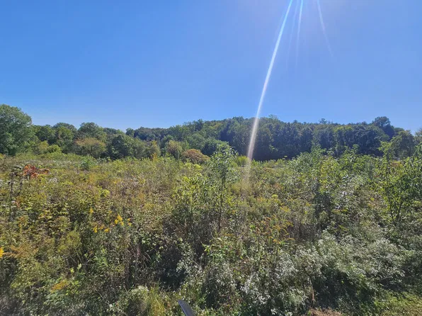 Fleisher Ln, Berrien Springs, MI 49103