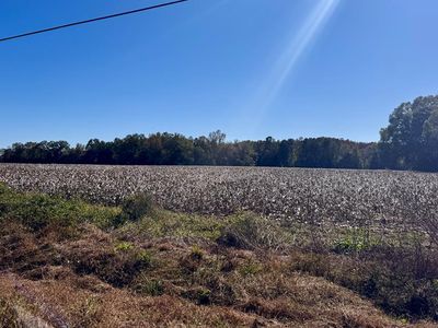 0 S State Highway 605, Slocomb, AL, 36375