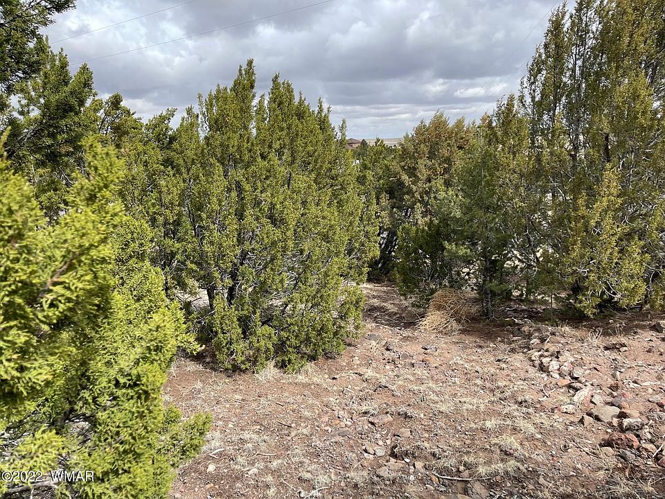 1st image of Snowline Dr