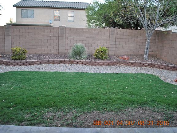 Backyard - looking out