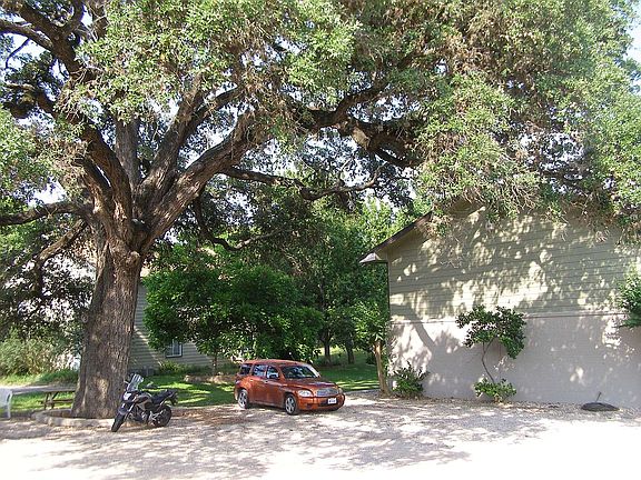 2nd image of 112 Lady Bird Ln