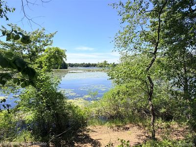 Vacant McKeachie Rd, White Lake, MI, 48383