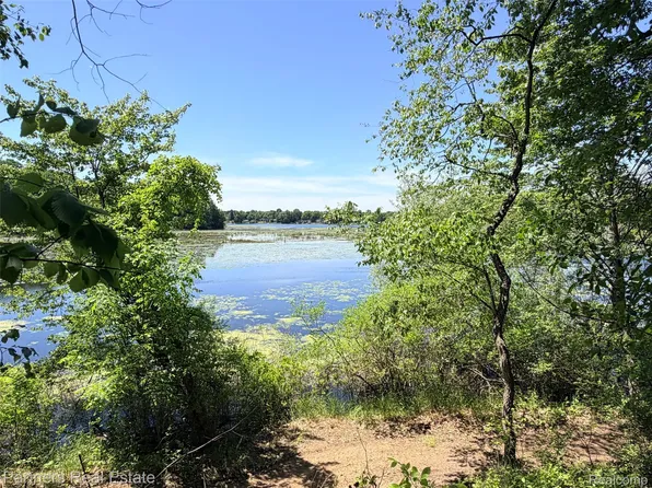 Vacant McKeachie Rd, White Lake, MI 48383