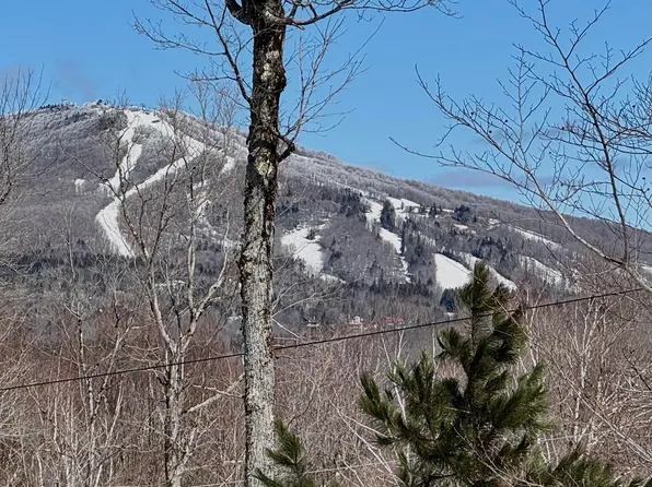 520 Moose Hollow Road, Winhall, VT 05340