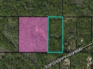 Xx Sopchoppy Hwy, Crawfordville, FL 32327
