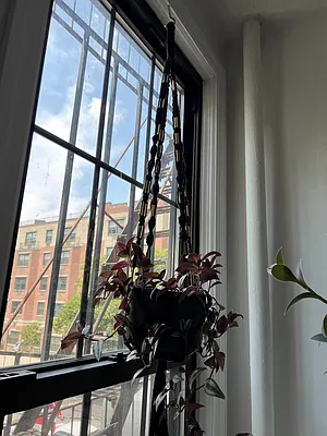 Rented by Delmark Realty LLC | media 18