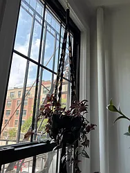 Rented by Delmark Realty LLC