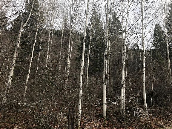 2nd image of 40XX N Stone Mountain Way