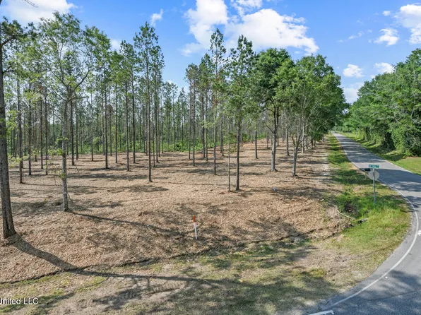 Nhn Ramsey Rd Lot 7, Saucier, MS 39574