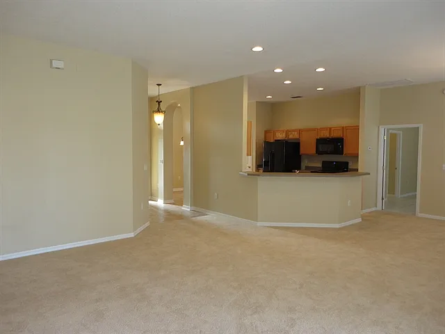 3828 Alamanda Hills Ln — Photo 4