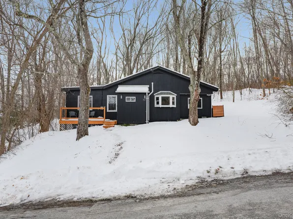 62 Netherwood Plz, Salt Point, NY 12578