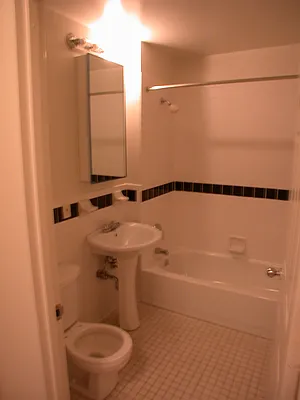 Rented by Ibec Living | media 45