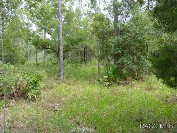 11900 W Riverwood Dr, Crystal River, FL 34428