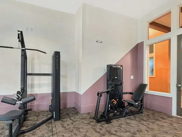 Leg Press