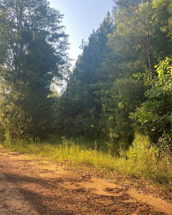 2nd image of 3025 Potato Patch Creek Rd