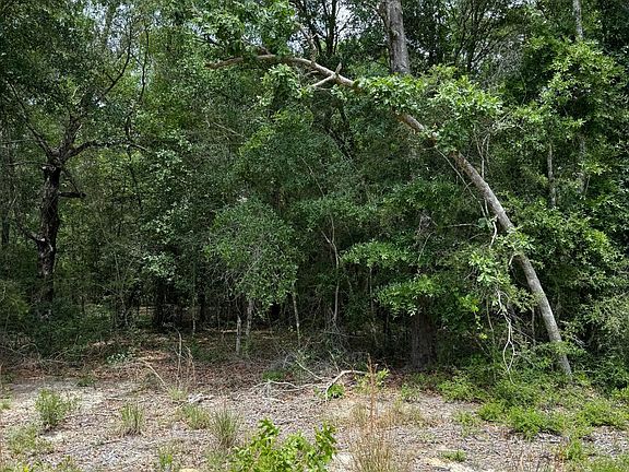 3rd image of Christopher Ln