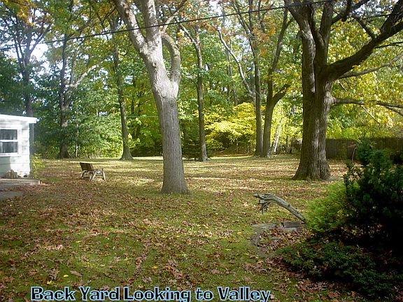 Back yard