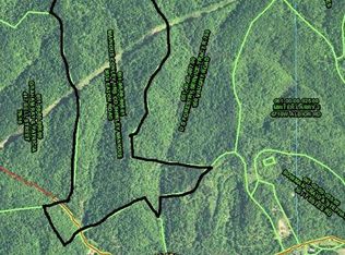 999 Doe Creek Rd LOT 1, Booneville, KY 41314