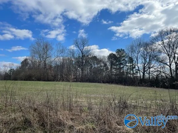 26AC County Road 1592, Baileyton, AL 35019