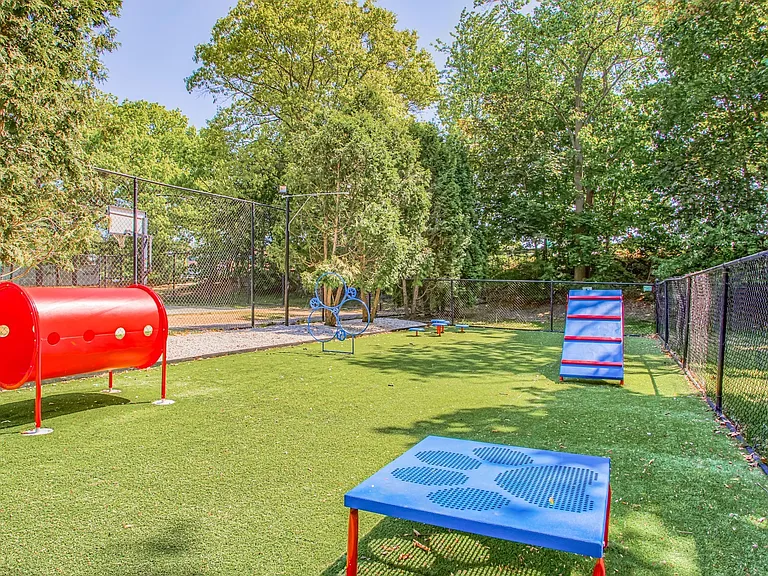 Off-leash dog park