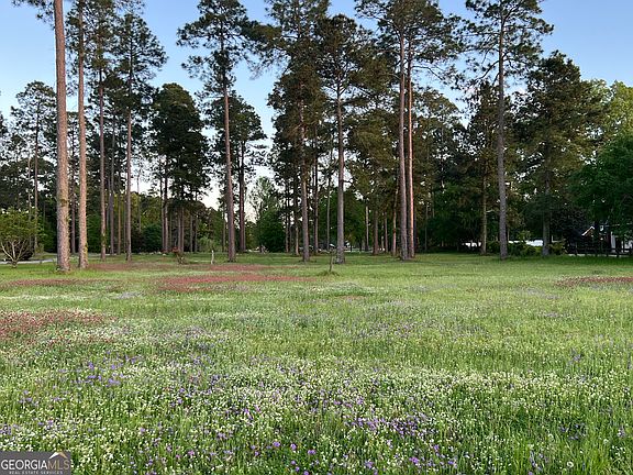 3rd image of 0 Cannon Branch Rd