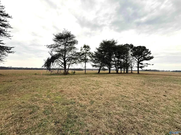 Narrow Ln, New Market, AL 35761