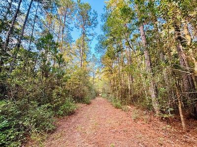 E Moran Rd, Pearl River, LA, 70452