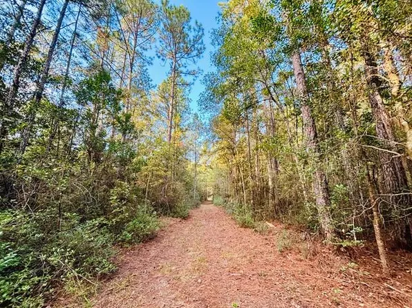 E Moran Rd, Pearl River, LA 70452