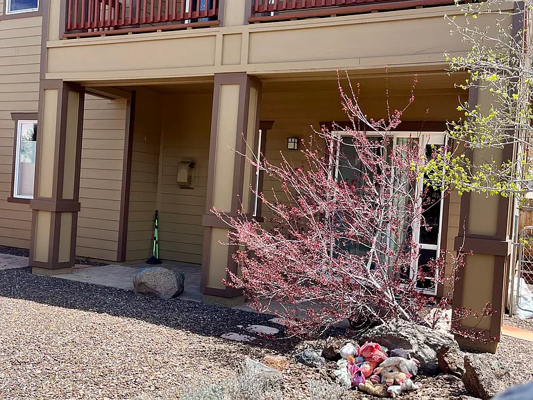 900 E Sterling Ln — Photo 10