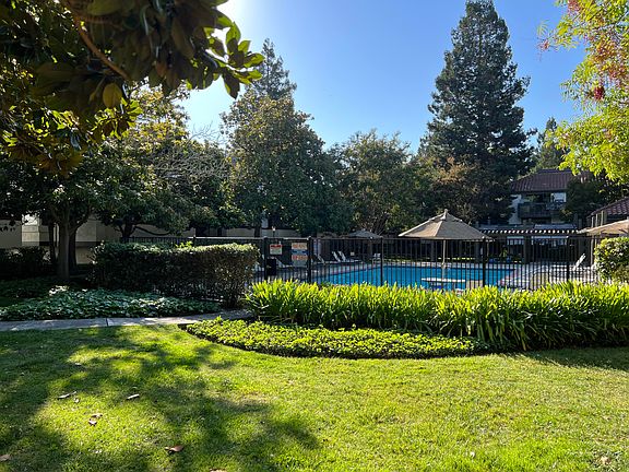 Pool - Wide View